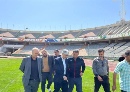 بررسی آخرین وضعیت ترمیم چمن ورزشگاه آزادی با حضور وزیر ورزش