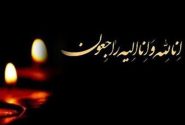 درگذشت عکاس ورزشی در حادثه پیست آزادی