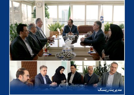 جلسه بررسی برنامه‌ها و ارزیابی عملکرد سال جاری مدیریت ریسک بیمه دانا