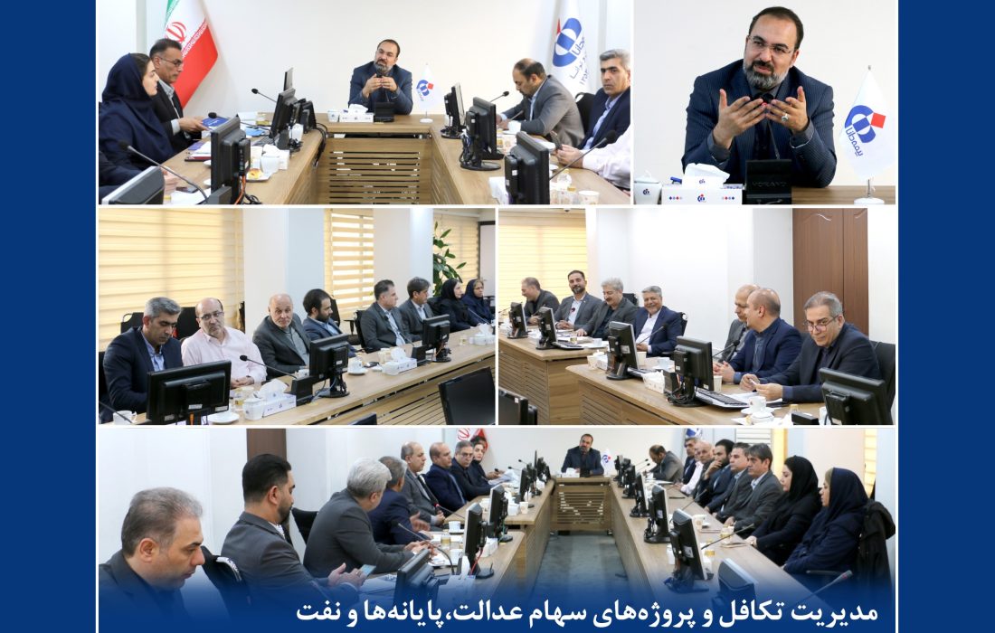 جلسه بررسی برنامهها و ارزیابی عملکرد سال جاری مدیریت تکافل و مدیریت پروژههای پایانهها، نفت و سهام عدالت بیمه دانا