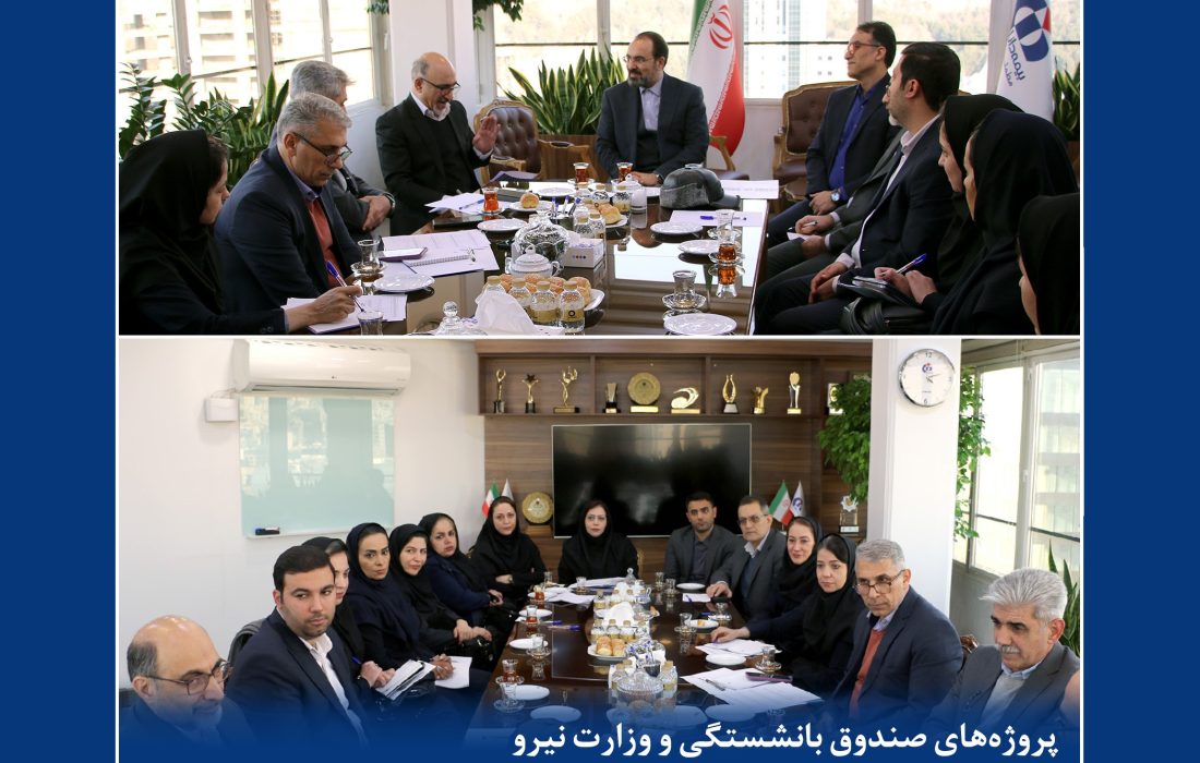 جلسه بررسی برنامه‌ها و ارزیابی عملکرد سال جاری مدیریت پروژه‌های صندوق بازنشستگی و وزارت نیروی بیمه دانا