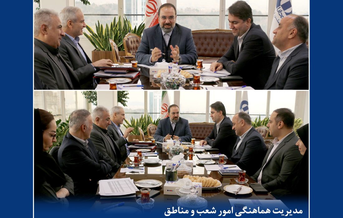 جلسه بررسی برنامه‌ها و ارزیابی عملکرد سال‌جاری معاونت بازاریابی و شبکه فروش بیمه دانا